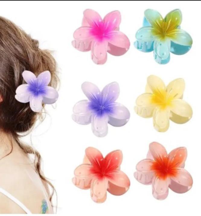 Flower Hair Clips Set - Gradient Colour Claw Clips (Pack of 8) - Elora Pakistan