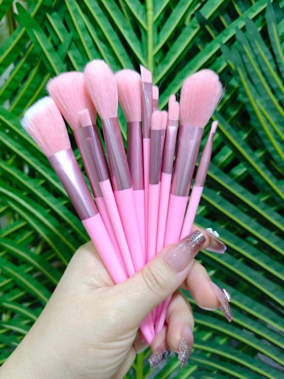 12 Pcs Reusable Makeup Brush Set - Pink - Elora Pakistan